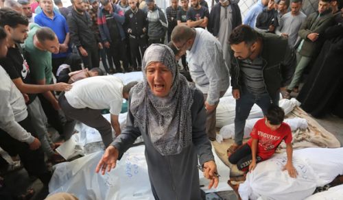 A Whole Year Has Passed, And 57 Countries Have Not Taken Any Action!