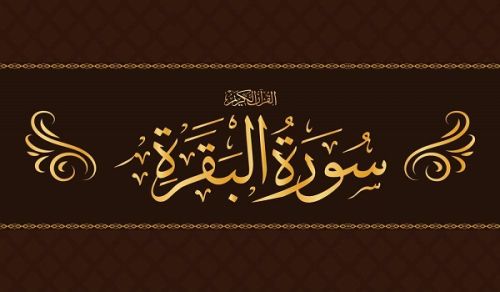 Tafseer Al-Baqarah (2: 222-223)