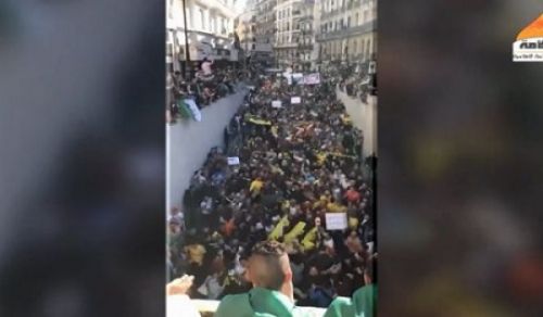 Minbar Ummah: Protesters in Algeria Demand Establishment of Islamic State!