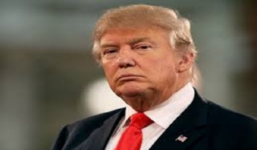 Trump the Apprentice
