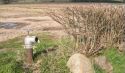 Government&#039;s &quot;Relief&quot; Package for Agriculture Sector Gives False Hope