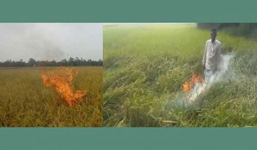 The Treacherous Awami Government is Crushing the Backbone of our Agriculture in Favor of India and the Local Capitalist Syndicate The Khilafah (Caliphate) will free the Farmers from the Clutches of these Criminals and ensure Food Security
