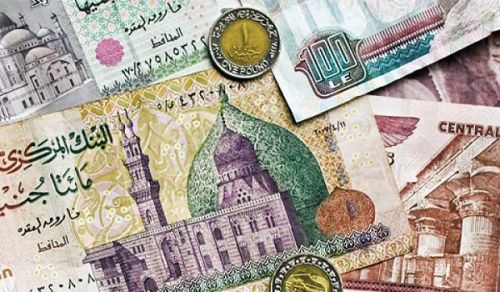The Document of the New Government Signifies Further Relinquishment of Egypt&#039;s Resources and Public Ownership