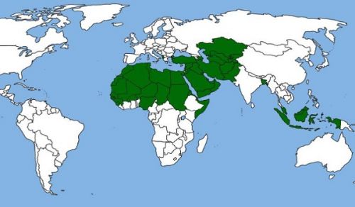 The Importance of Possessing Correct Political Concepts for the Revival of the Muslim Ummah