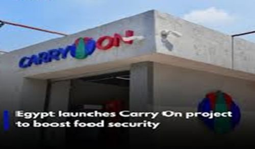 Is "Carry On" a Capitalist Patch-Up Disguised as Development, or a Radical Solution to the Inflation Crisis?