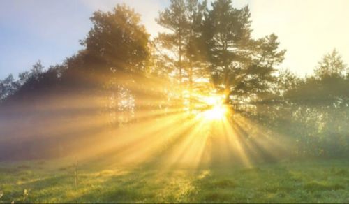 Creation, Meaning Bringing Something Into Existence From Nothing