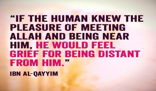 The Ultimate Achievement is Attaining the Pleasure of Allah (swt)