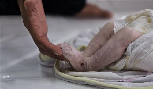 The Freezing to Death of Babies, and the Starvation and Slaughter of Children is not Enough to Stop the Genocide in Gaza!