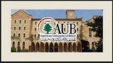 The Persistence of Feminist and Gay Associations to the Point of Spreading Obscenity among Believers is a Blatant Assault on the Honor of Muslims.
