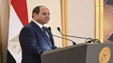 Those who Claim that Egypt Is an Islamic State Do Not Persecute and Imprison Those Who Call for Islam