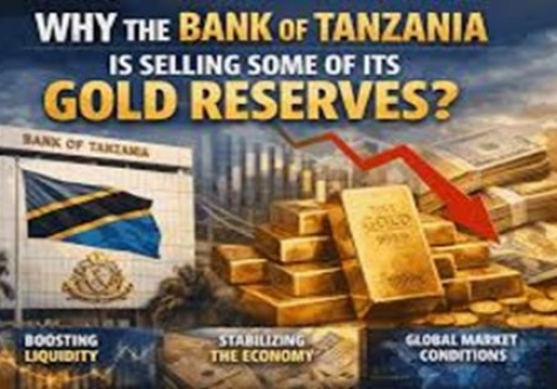 Tanzania's Sale of Gold Reserve in Perspective