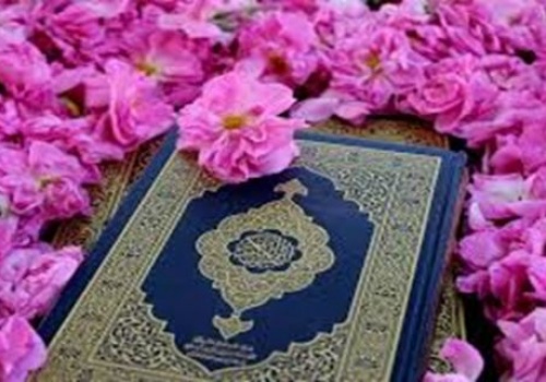 With the Noble Quran Allah is the ally of those who believe. He brings them out of darkness into light.