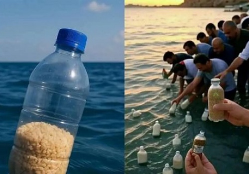 Plastic Bottles with Food: Heroism of Some and Treacherous Betrayal of Others