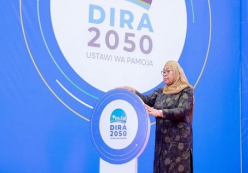 THE MIRAGE OF TANZANIA DEVELOPMENT VISION 2050