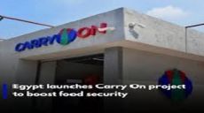 Is "Carry On" a Capitalist Patch-Up Disguised as Development, or a Radical Solution to the Inflation Crisis?