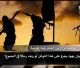 Al-Raya Newspaper: Prominent Headlines of Issue 559